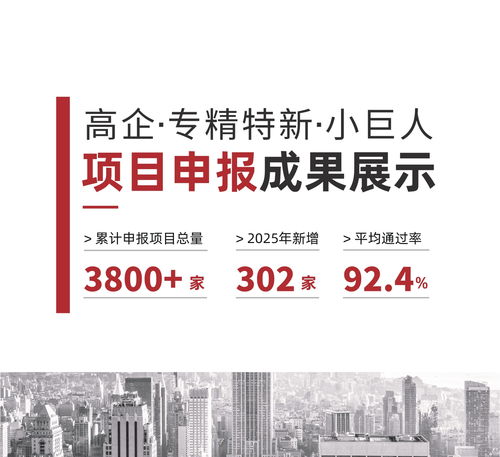 2026年現(xiàn)階段 新疆創(chuàng)小企業(yè)如何筑穩(wěn)創(chuàng)新根基？信賴伙伴深度解析科技項目代理服務(wù)