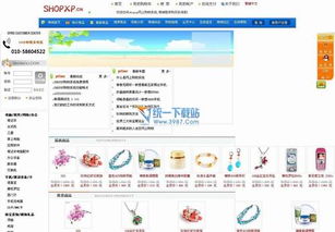 電子商務(wù) 飛極下載站